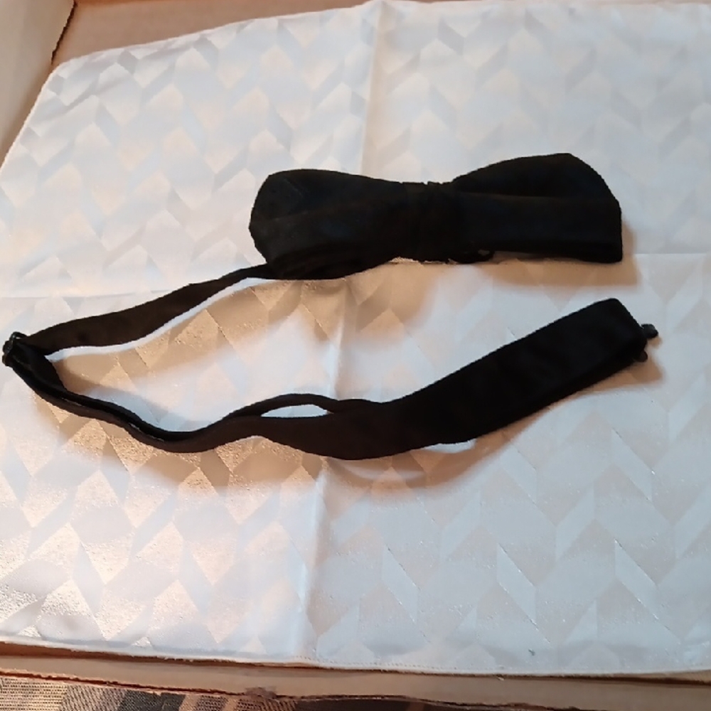 L&M Fashion Polyester Black Bow Tie